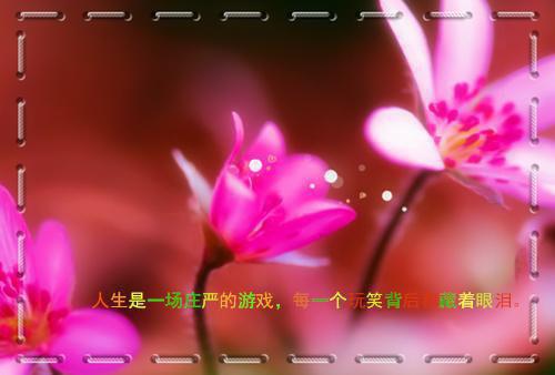 和女友相恋的第七年全文小说全章节目录免费阅读