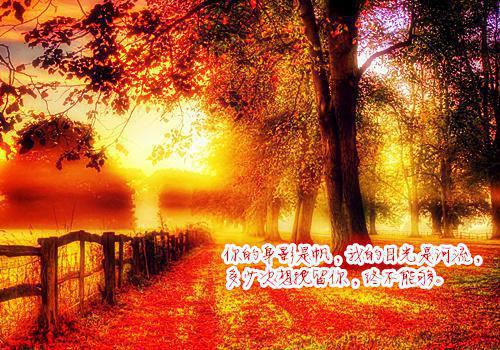 不良关系新鲜出炉最新章节列表_不良关系新鲜出炉全文免费阅读(桑胤衡南枫)