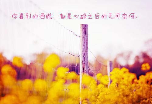 江卿婉叶廷琛全文免费阅读(江卿婉叶廷琛小说）全文免费阅读无弹窗大结局_ 江卿婉叶廷琛小说全文免费阅读江卿婉叶廷琛最新章节列表（江卿婉叶廷琛）