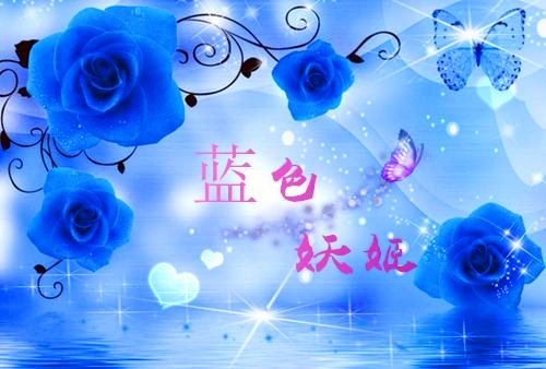 被甩后，我和豪门上司闪婚了小说完整版资源免费试读