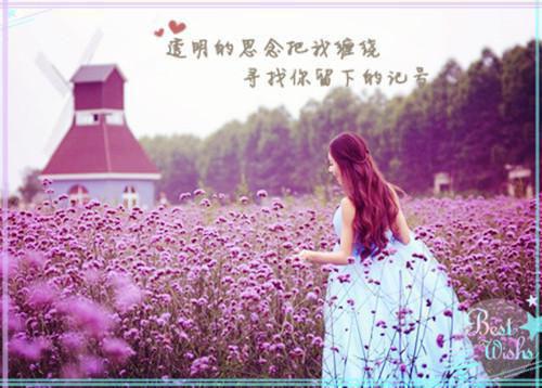 薛丹珍邹墨寒（薛丹珍邹墨寒）全文免费阅读_薛丹珍邹墨寒最新章节（薛丹珍邹墨寒）