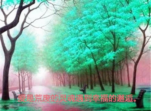 伊小卿墨琛（伊小卿墨琛小说）全文免费阅读无弹窗大结局_伊小卿墨琛完整版小说阅读（伊小卿墨琛小说）