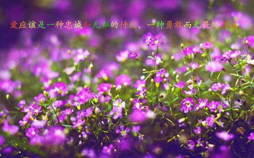 正能量的句子 马云 人生感悟