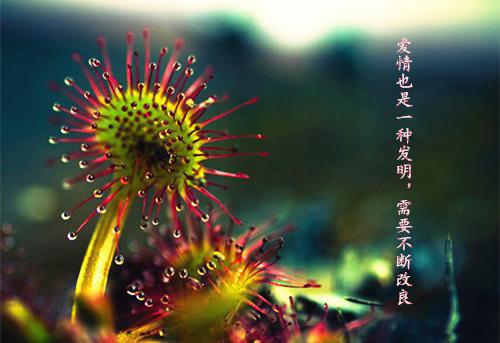 人气小说我十八，辈分活祖宗，全村来跪拜萧雪青三蹦子全文免费试读