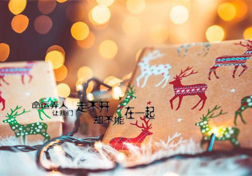 一颗糖就不苦热门小说（苏小糖成砚）全文阅读