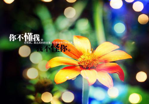 奇葩保姆雀占鸠巢？我一招教她做人！佚名全文小说免费阅读