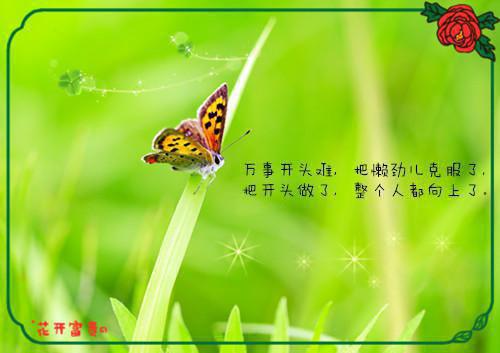 褚晋明殷韵嫣（褚晋明殷韵嫣）全文在线阅读免费大结局_褚晋明殷韵嫣最新章节列表（褚晋明殷韵嫣）