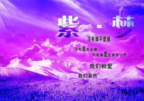 影帝哪有弟弟香小说全文免费阅读_影帝哪有弟弟香阅读