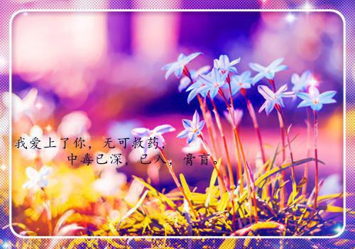 《姜敏陈望》姜敏陈望小说全文完整版阅读