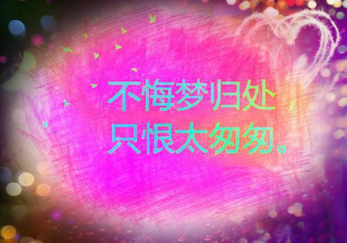 鹿溪月俞惟小说阅读(宋小姐,展少爷,明月心)全本阅读
