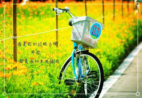 余晖深处说爱你：结局+番外（江晚衿傅砚洲）全文在线阅读无弹窗大结局_（余晖深处说爱你：结局+番外）余晖深处说爱你：结局+番外在线阅读无弹窗最新章节列表（江晚衿傅砚洲）