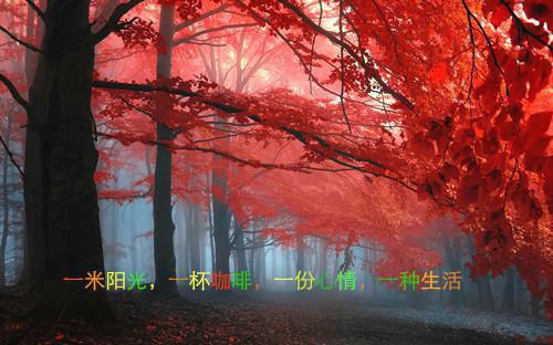 梦里骗黑龙生娃后，她追出来了精选作品之一全文小说苏晨苏轻语小说在线阅读