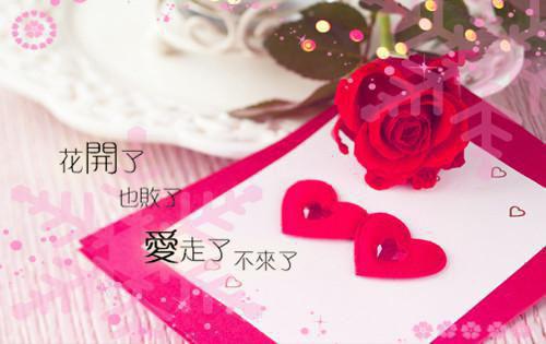 苏青舒李亦辰年少时候的约定小说全章节阅读