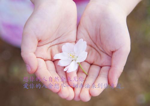 第23章小说重返十六岁，我成了国家队女神阅读