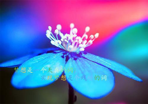 木棉花开全文免费阅读(林漫漫林军)全文免费林漫漫林军读无弹窗大结局_ 林漫漫林军免费林漫漫林军读最新章节列表（木棉花开）