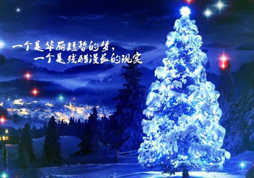 完结版小说精品推荐苏墨卿白迟迟全文免费阅读by黑眼圈不黑免费阅读