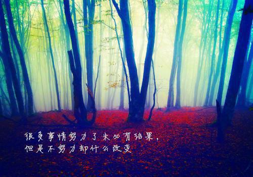鹿悠悠贺淮屿（鹿悠悠贺淮屿）全文免费阅读无弹窗大结局_鹿悠悠贺淮屿最新章节列表（鹿悠悠贺淮屿）