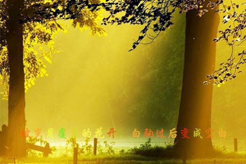 顾洛笙霍慎玄（霍慎玄顾洛笙）小说在线阅读_顾洛笙霍慎玄全本免费小说阅读（霍慎玄顾洛笙）