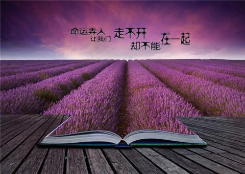 绝世神豪：开局踹了拜金前任林凡苏清雅推荐完本_已完结绝世神豪：开局踹了拜金前任（林凡苏清雅）