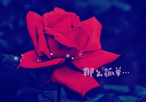 苏文陆宣仪热门小说（苏文陆宣仪）全文阅读