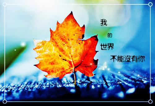 (热推新书)小说全文（苏魔）全文免费阅读无弹窗 （神女退婚后，我被系统奖励绝世功法）无弹窗免费阅读大结局最新章节列表