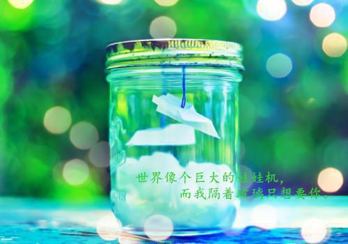 芽芽学羽写的小说重生归来，我成了一国国师阅读