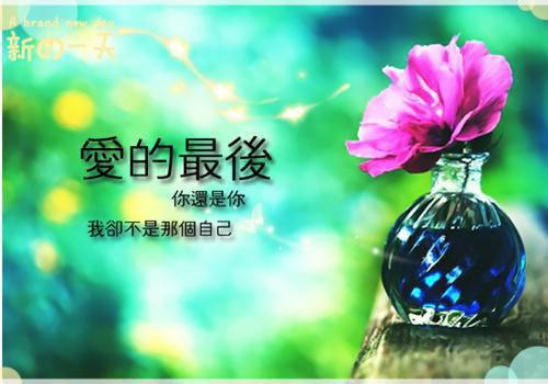 她功成身退，禁欲皇帝杀红眼全文小说郑铎,余光,马寺最新章节阅读