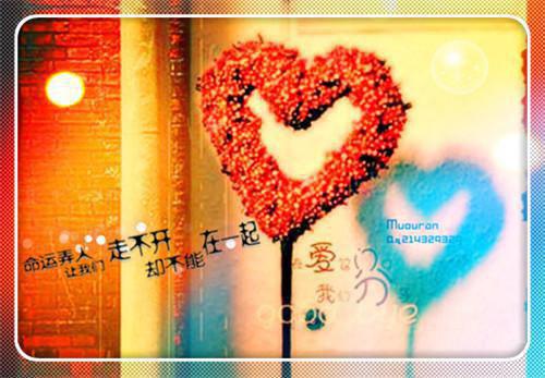小七全文阅读_谢辞李容嫣小说免费阅读
