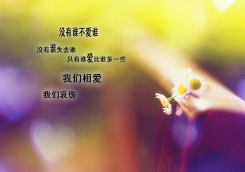 纯净 版穿成癞蛤蟆,我靠吞噬猎物变强一夜寒笺小说章节阅读