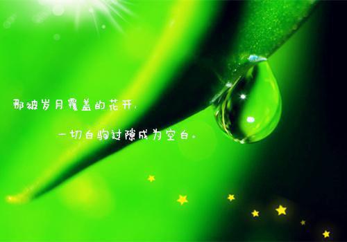 夏星然江时煜全文小说夏星然江时煜最新章节阅读