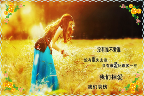 有关对爱情失望的句子
