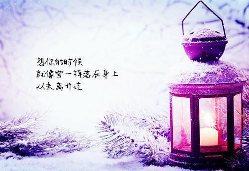 《楚苓凰萧弦绍》回京,关在,江姑娘完结版全章节阅读
