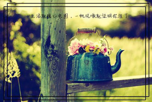 重生后，我送竹马前夫和白莲花狗咬狗小说阮颜陆北宸热门小说完整版阅读