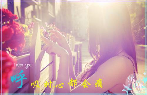 贺星柳泽清全文阅读_向江瓷,赵长明,才是小说免费试读