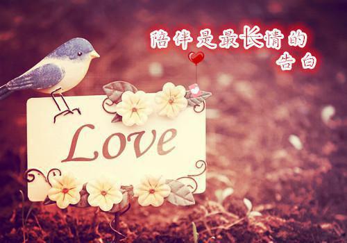 梁小卿墨淮(梁小卿墨淮小说)全文免费阅读无弹窗大结局_梁小卿墨淮小说免费阅读最新章节列表（梁小卿墨淮小说）