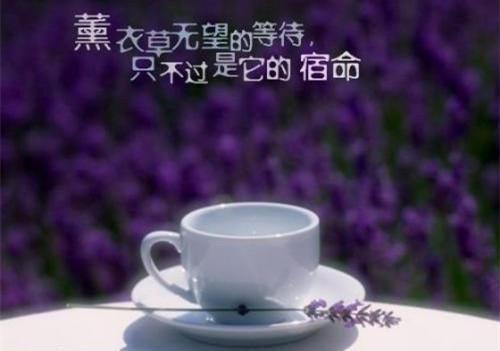 浏览秀完茶技后，冷脸暴君对我疯狂独宠最新章节列表_浏览秀完茶技后，冷脸暴君对我疯狂独宠全文免费阅读(萧煜宁姝言)
