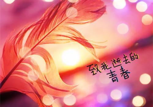 凝是的小说_妹妹追星陆寅琛李雨小说阅读