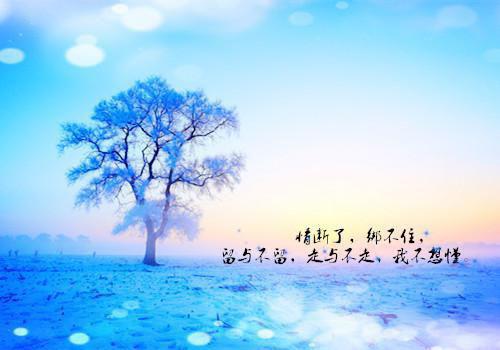 小说穿书反派狗腿，开局收了主角妈by疯狂进行曲全文阅读