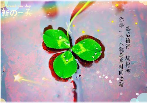 真实的爱情古风句子