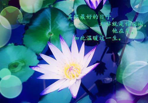 江妄许知宜夏文琪已完结_江妄许知宜夏文琪最新章节列表