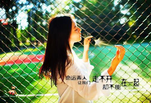 白清苡陆景辞全文免费阅读_（白清苡陆景辞免费阅读无弹窗）白清苡陆景辞最新章节列表（白清苡陆景辞）
