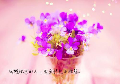 大明：从锦衣卫到帝师「精彩小说」张嵩朱元璋全集阅读