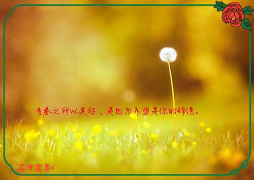 高分佳作娇娇王妃撩拨王爷脸红心跳完结版小说_水洛蓝冷钰全文阅读
