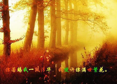 内容精选我，杂役弟子，剑道无敌小说阅读(秦初白羽)全本阅读