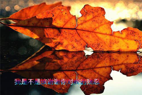 （姜可儿顾言修）全文免费阅读无弹窗大结局_（姜可儿顾言修阅读无弹窗）姜可儿顾言修最新章节列表（姜可儿顾言修）