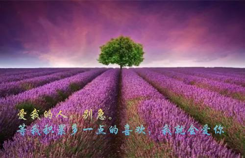 三百斤宠妃沈知浅沈灵昭小说全集免费试读