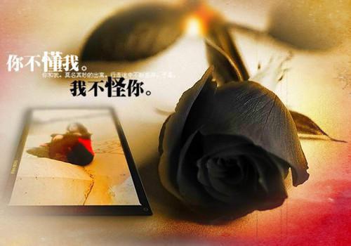 老公为了白月光偷光我三百万！全文小说丁妮向云杰小说在线阅读