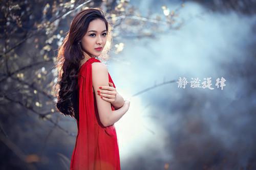 南荒龙帅极佳剧情（陈河图秦岚）全文浏览_南荒龙帅极佳剧情全文浏览