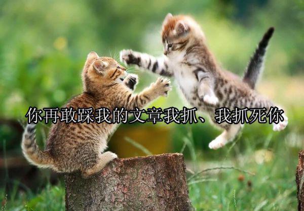 小说宋月莹冯廷烨主角为宋月莹冯廷烨免费阅读