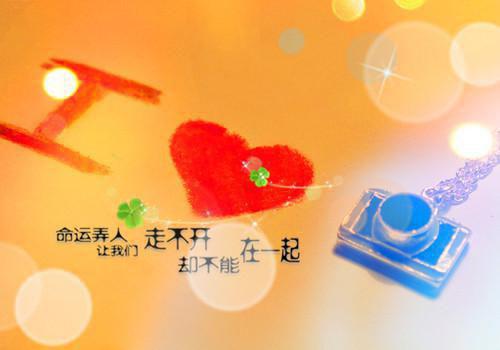 沈青禾徐清彦全文免费阅读_（沈青禾徐清彦免费阅读无弹窗）沈青禾徐清彦最新章节列表（沈青禾徐清彦）
